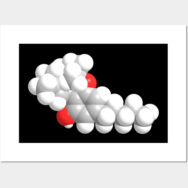 CBD Molecule Chemistry Wall Art by ChemECool